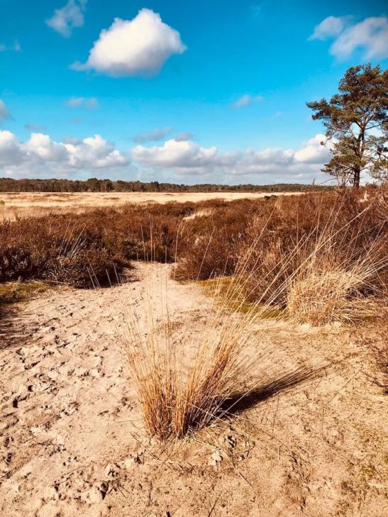 492491734 702232469027998 7674970696134386750 n